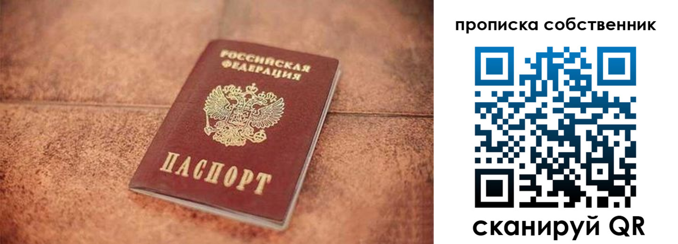 где прописаться в Мытищах